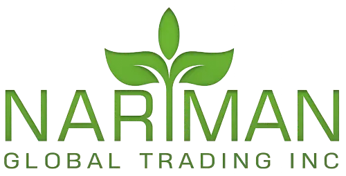 Nariman Global Logo